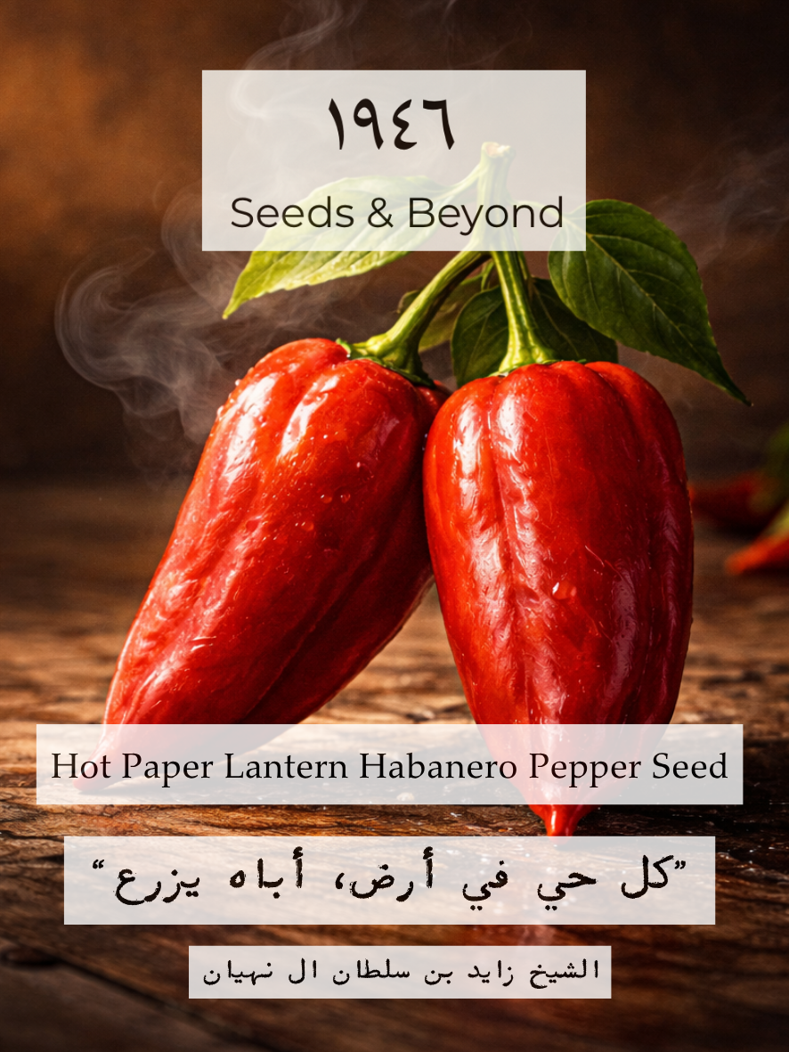 Hot Paper Lantern
Organic Habanero Pepper Seed