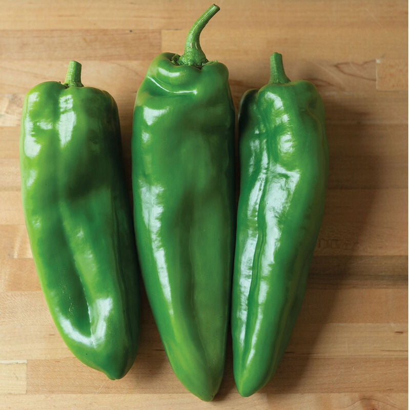 Spitfire
(F1) Anaheim Pepper Seed