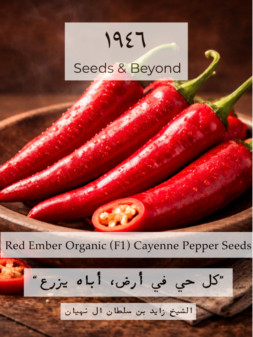 Red Ember
Organic (F1) Cayenne Pepper Seed