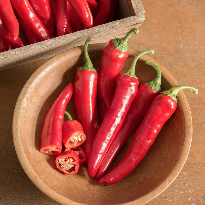 Red Ember
Organic (F1) Cayenne Pepper Seed