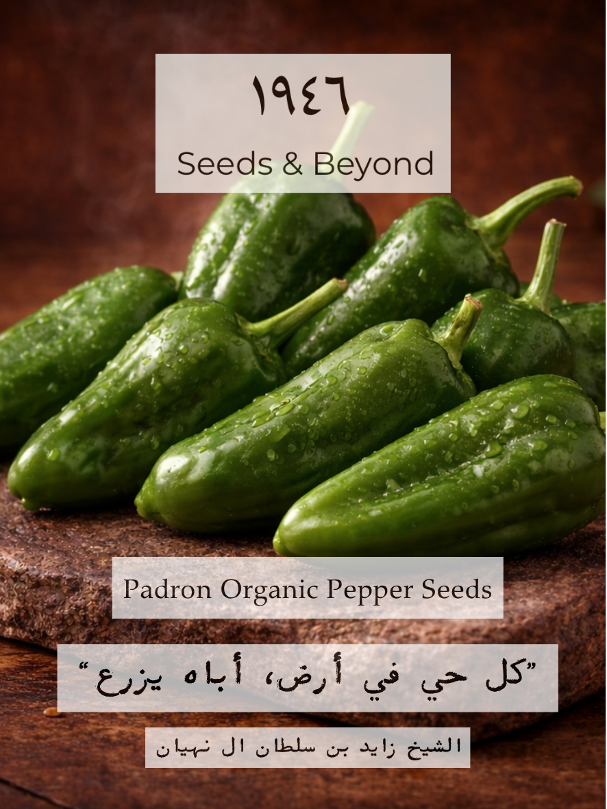 Padron
Organic Padron Pepper Seed