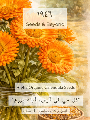 Alpha
Organic Calendula Seed
