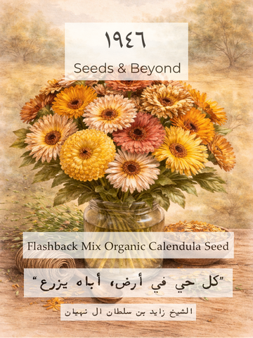 Flashback Mix
Organic Calendula Seed