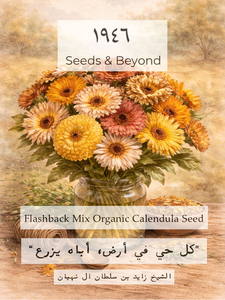 Flashback Mix
Organic Calendula Seed