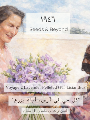 Voyage 2 Lavender
Pelleted (F1) Lisianthus