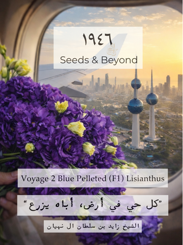 Voyage 2 Blue
Pelleted (F1) Lisianthus