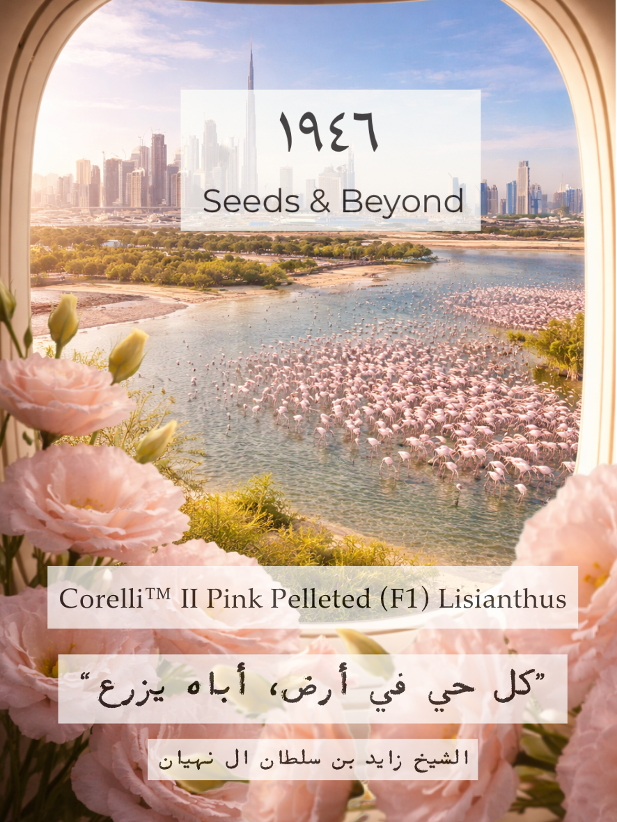 Corelli™ II Pink
Pelleted (F1) Lisianthus