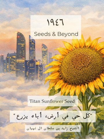Titan Sunflower
