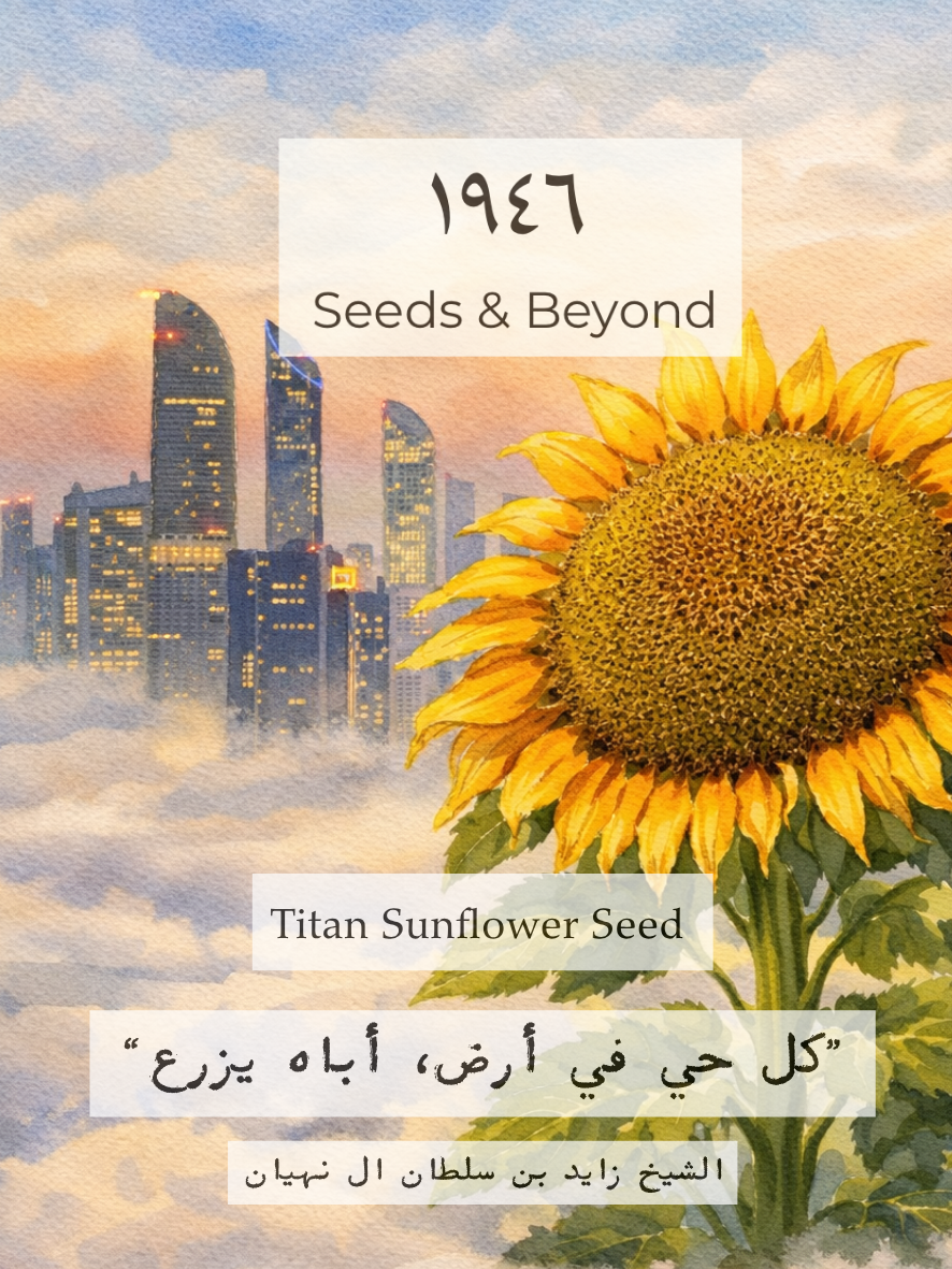 Titan Sunflower