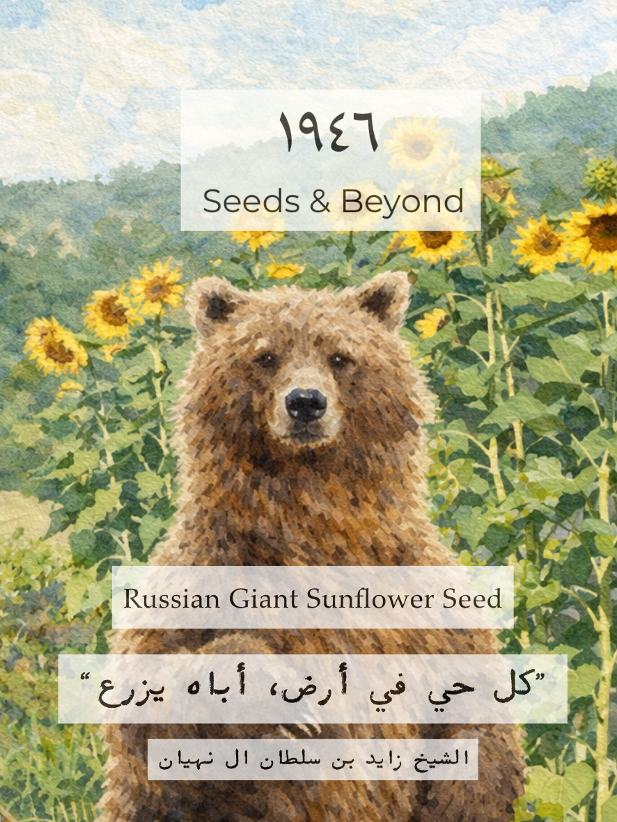 Russian Giant Sunflower