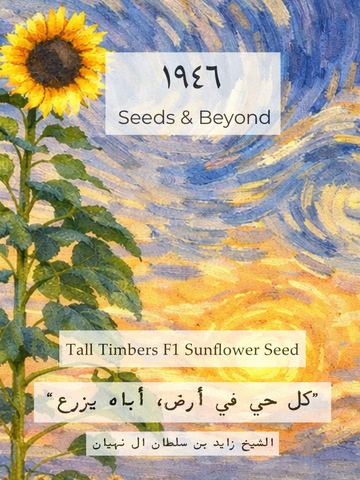 Tall Timber F1 Sunflower