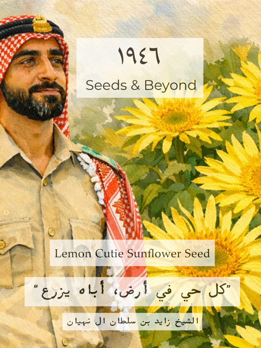 Lemon Cutie Sunflower