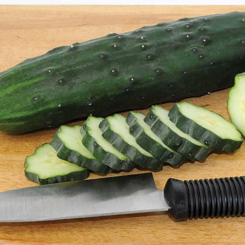 Marketmore 76
Organic Cucumber Seed