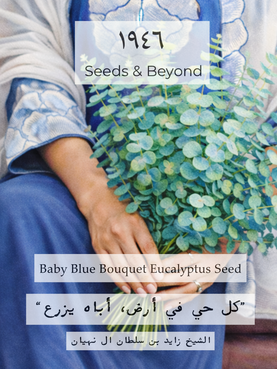 Baby Blue Bouquet
Eucalyptus Seed