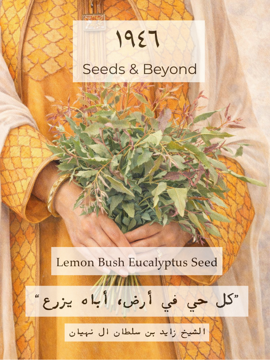 Lemon Bush
Eucalyptus Seed
