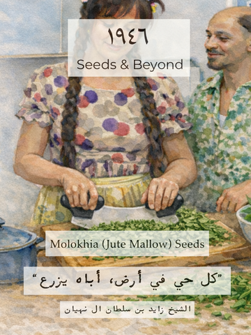 Molokhia Jute Mallow Seed