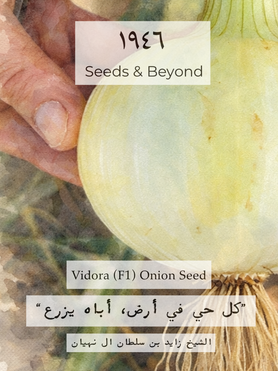 Vidora
(F1) Onion Seed
