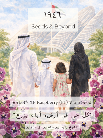 Sorbet® XP Raspberry
(F1) Viola Seed