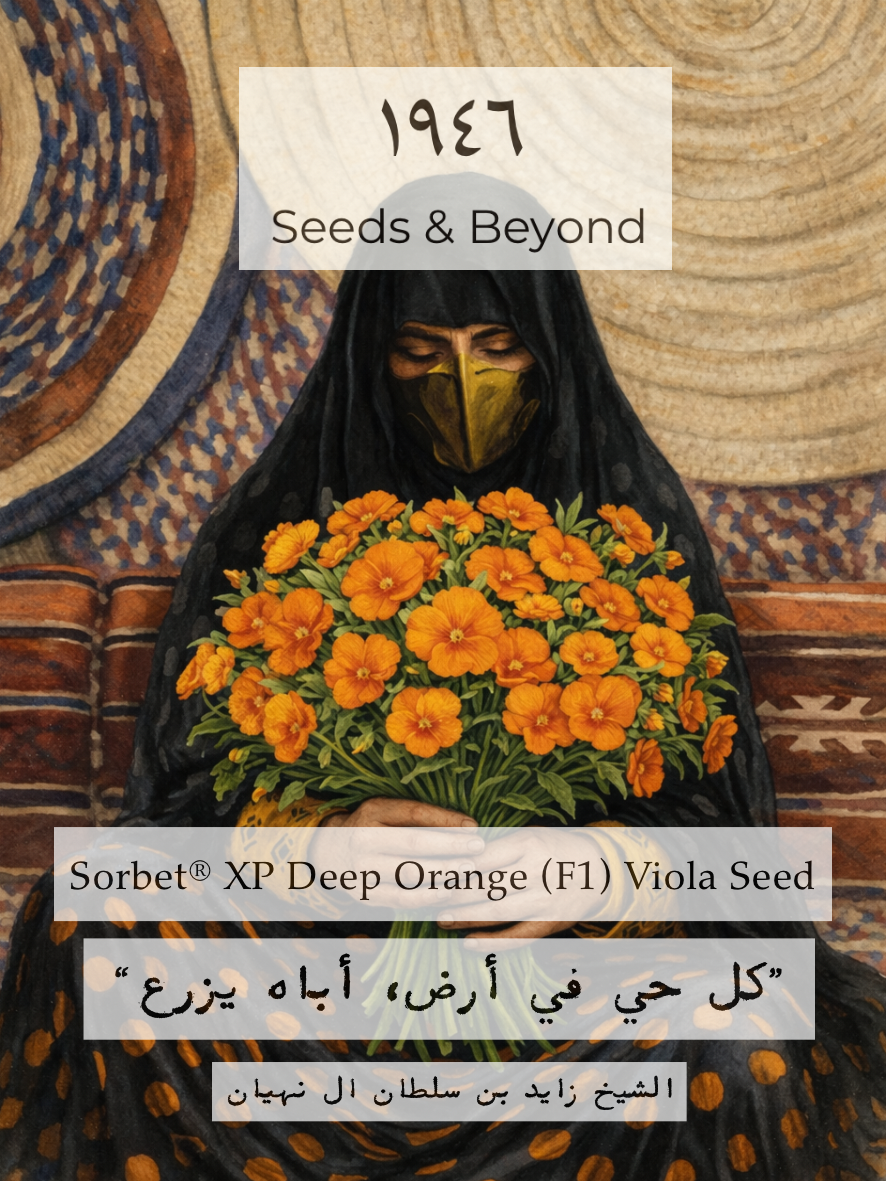 Sorbet® XP Deep Orange
(F1) Viola Seed