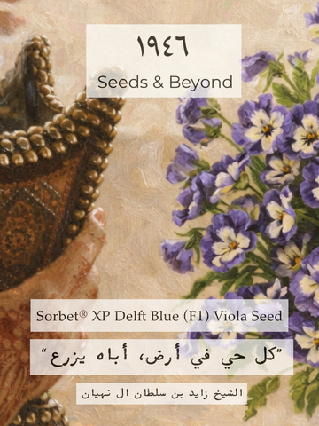 Sorbet® XP Delft Blue
(F1) Viola Seed