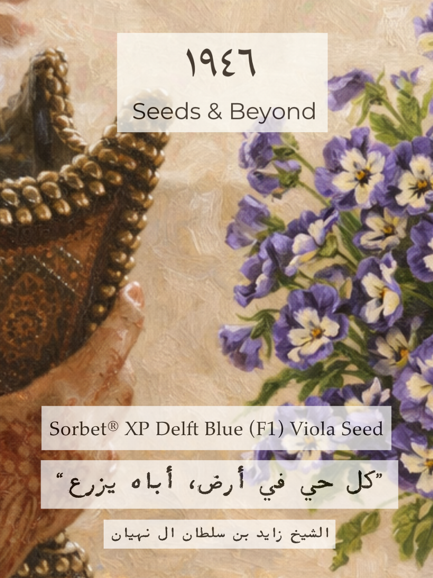 Sorbet® XP Delft Blue
(F1) Viola Seed