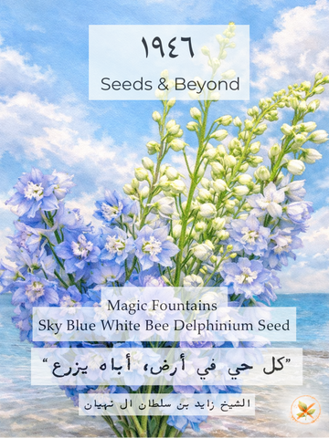Magic Fountains Sky Blue White Bee
Delphinium Seed