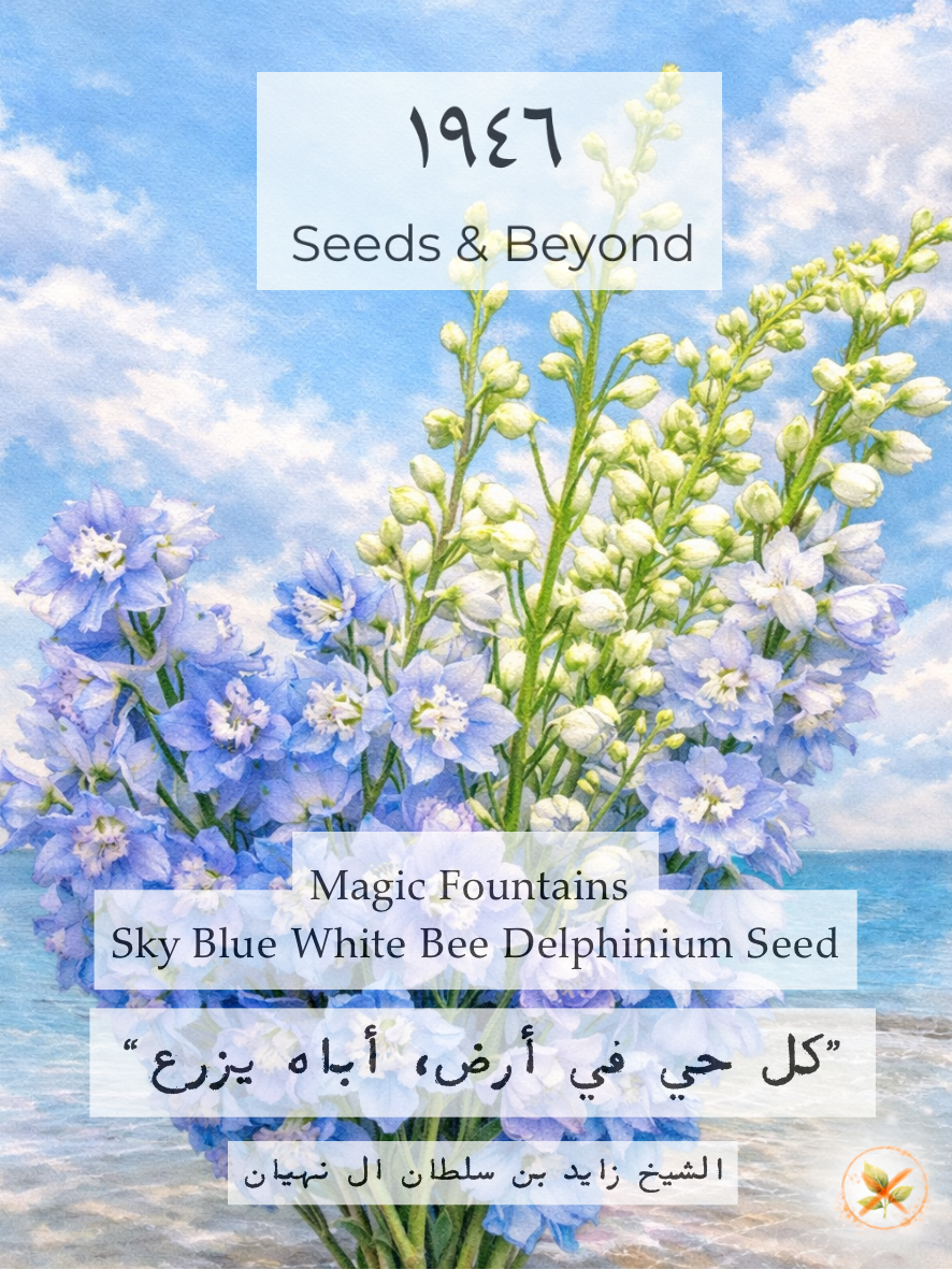 Magic Fountains Sky Blue White Bee
Delphinium Seed