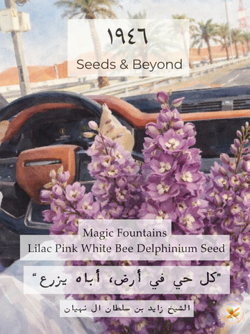 Magic Fountains Lilac Pink White Bee