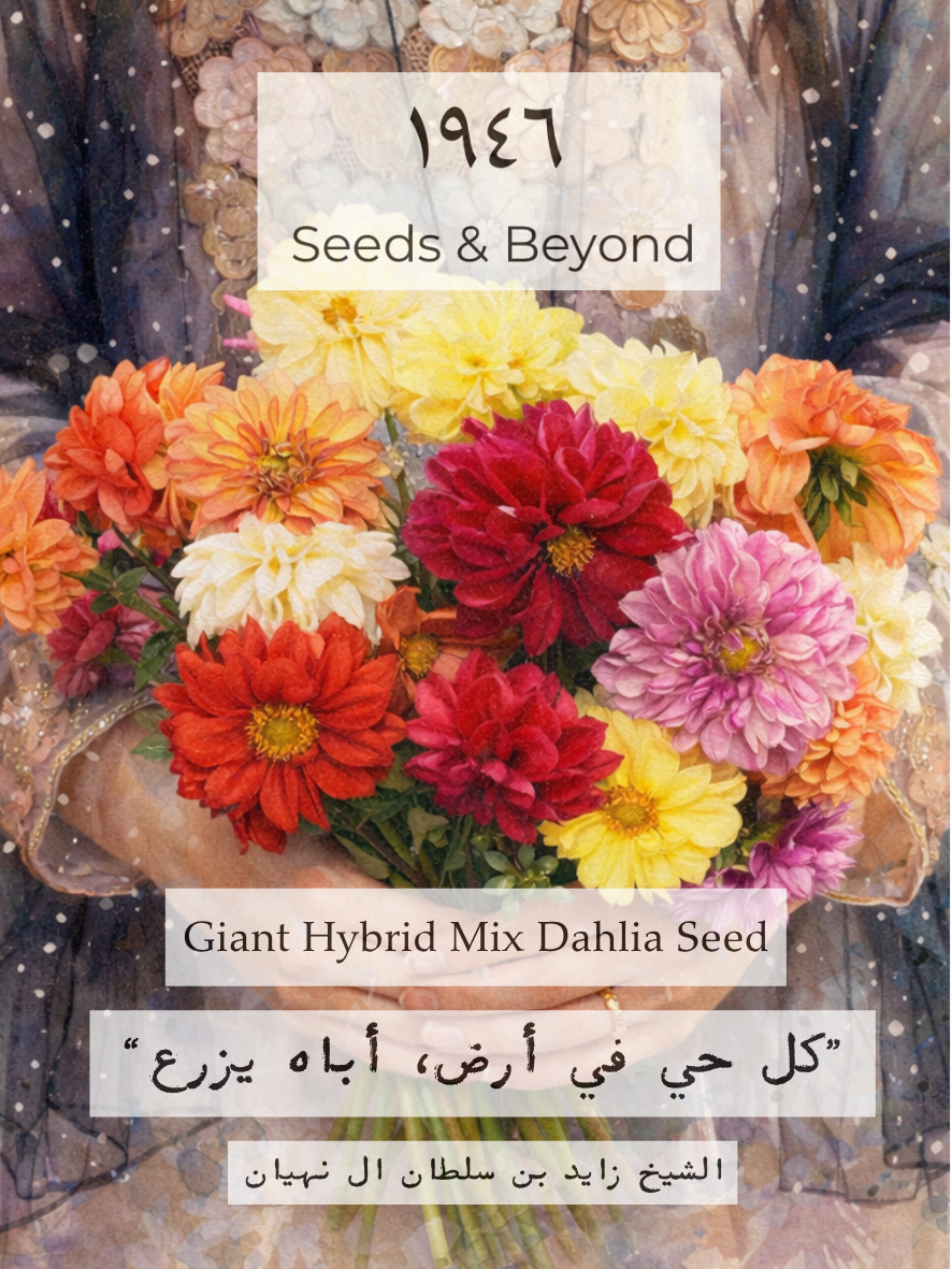 Giant Hybrid Mix
Dahlia Seed