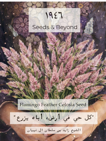 Flamingo Feather
Organic Celosia Seed
