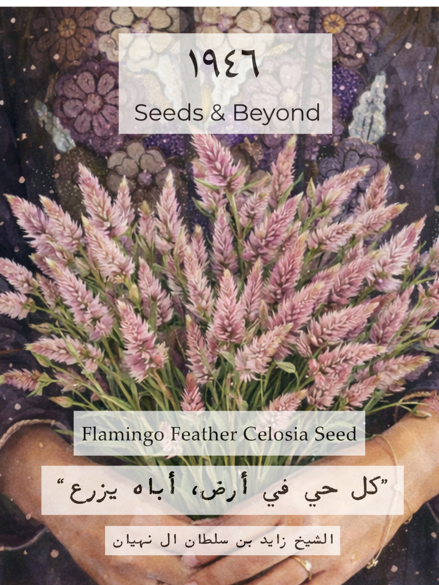 Flamingo Feather
Organic Celosia Seed
