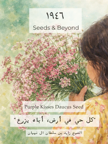 Purple Kisses
Daucus Seed