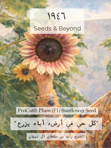 ProCut® Plum
(F1) Sunflower Seed
