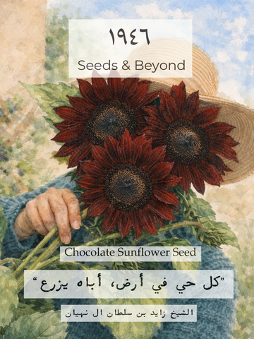 Chocolate
Sunflower Seed