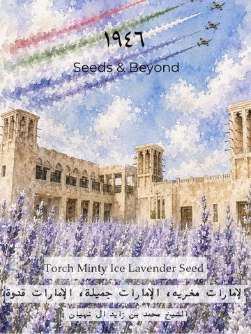 Torch Minty Ice Lavender