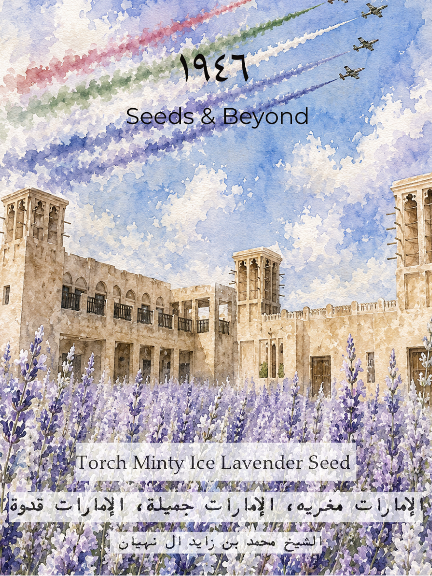 Torch Minty Ice Lavender