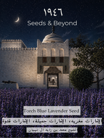 Torch Blue Lavender