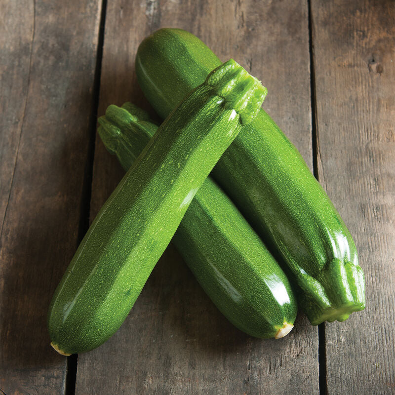 Spineless Perfection
(F1) Zucchini Squash Seed