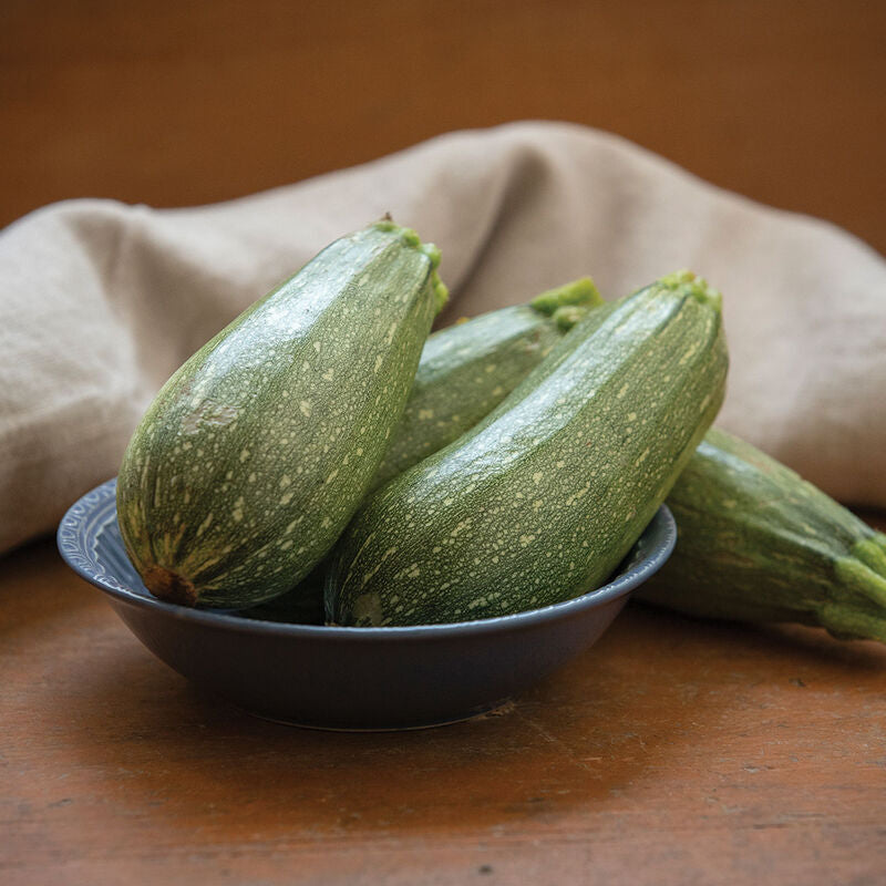 Mexicana
Organic (F1) Zucchini Squash Seed