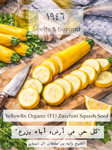 Yellowfin
Organic (F1) Zucchini Squash Seed