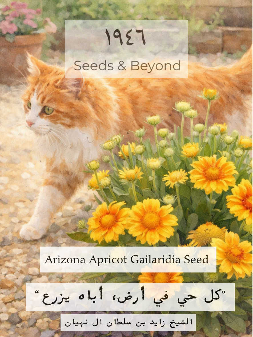 Arizona Apricot Gailaridia Seed