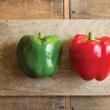 King Arthur F1 Treated Pepper Seed