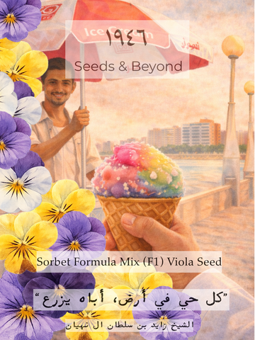 Sorbet Formula Mix
(F1) Viola Seed