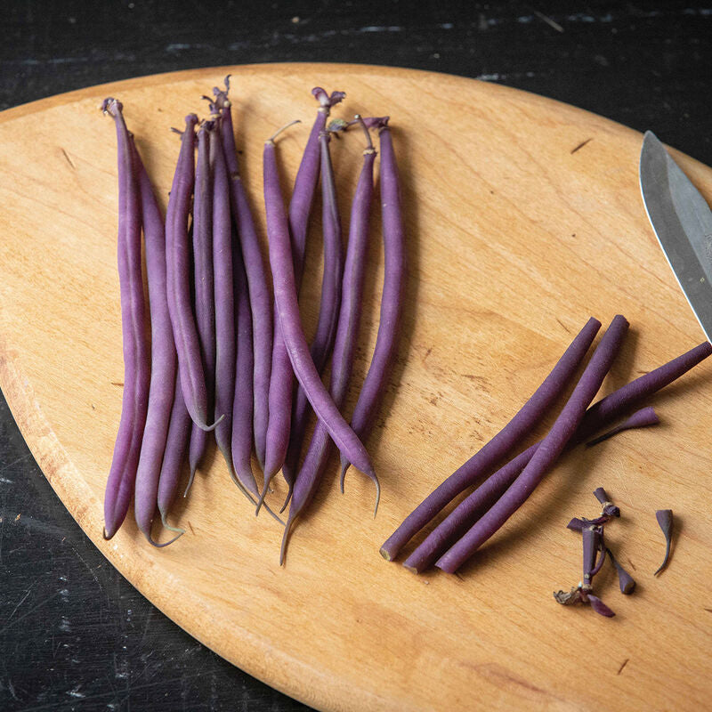 Celine
Organic Bean Seed