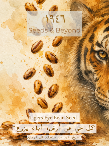 Tiger Eyes Beans
