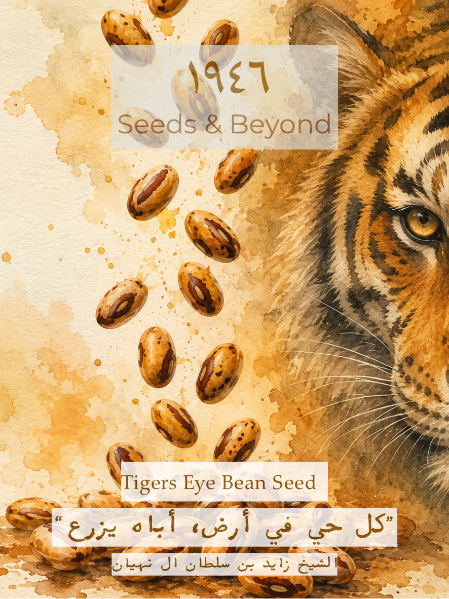 Tiger Eyes Beans