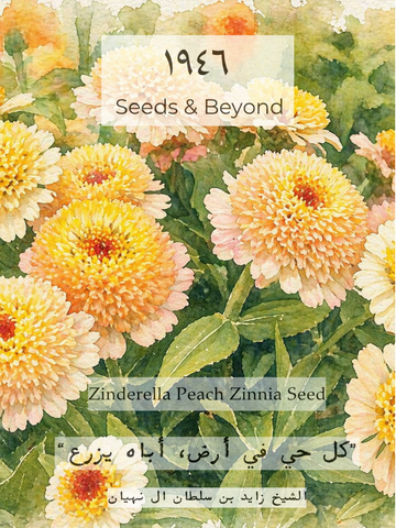 Zinderella Peach
Zinnia Seed