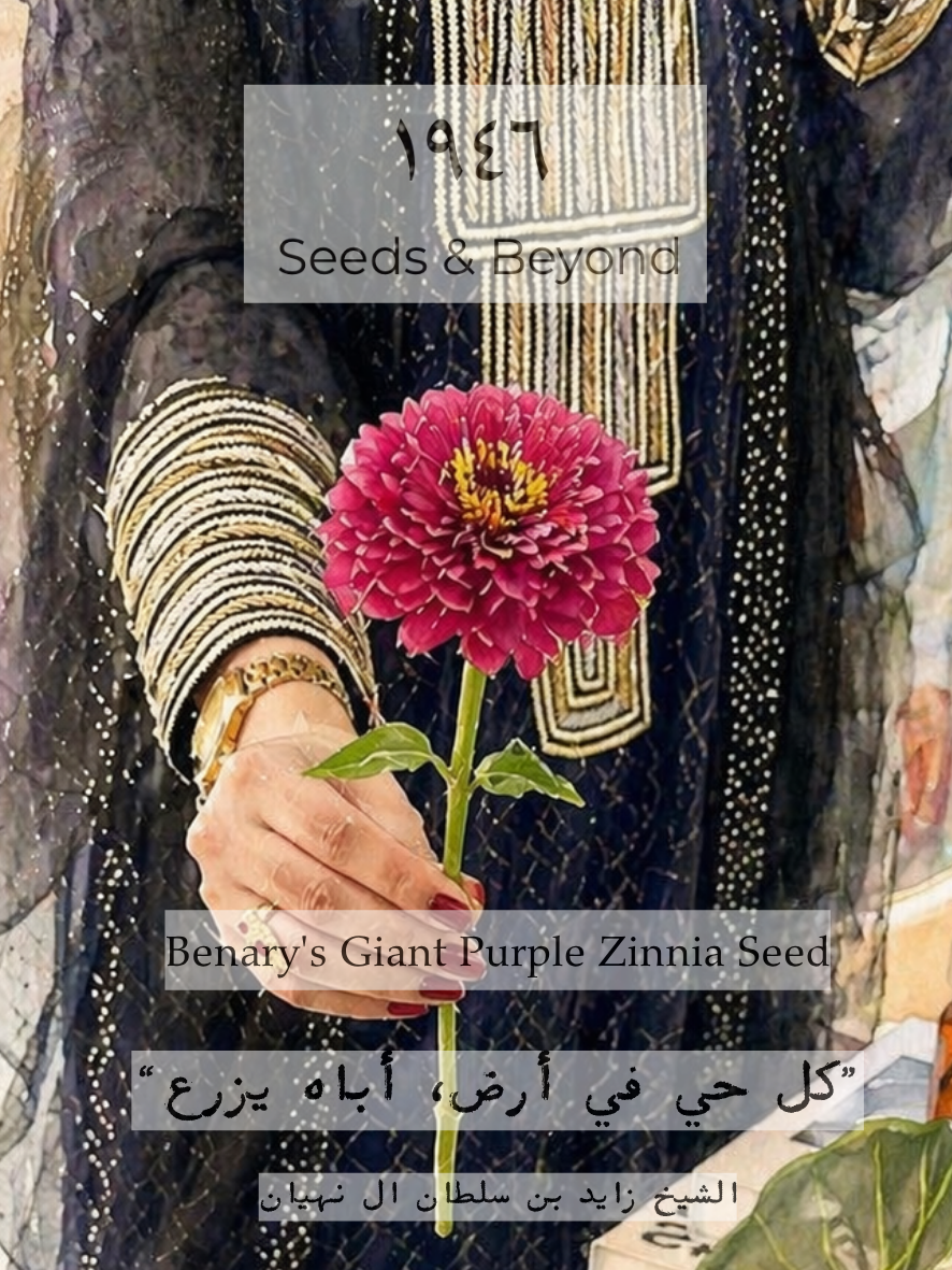 Benary's Giant Purple
Zinnia Seed