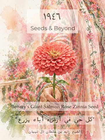Benary's Giant Salmon Rose
Zinnia Seed