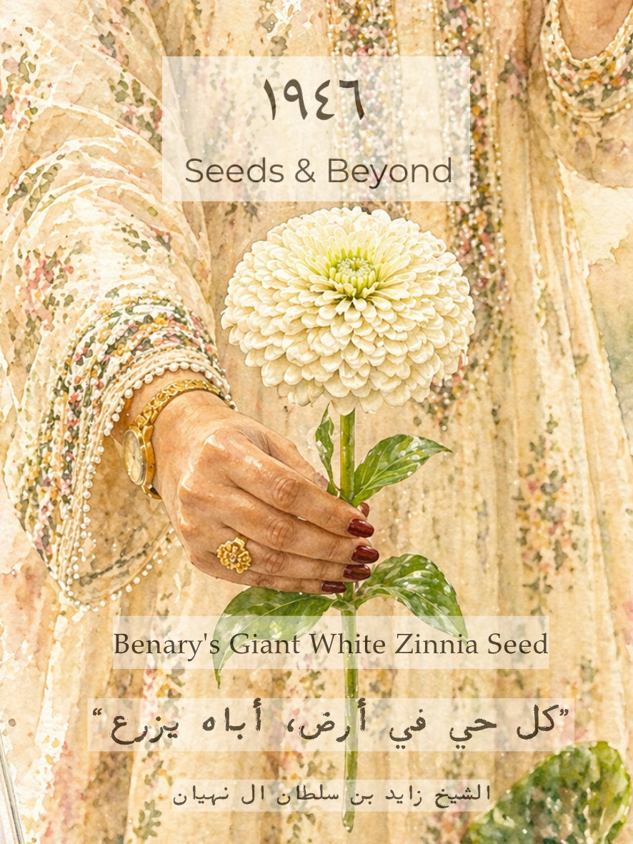 Benary's Giant White
Zinnia Seed
